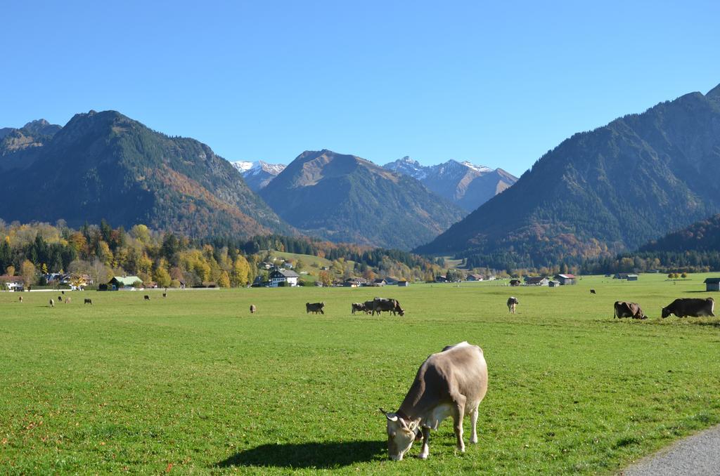 Hotel Cafe Fuggerhof Oberstdorf Zewnętrze zdjęcie