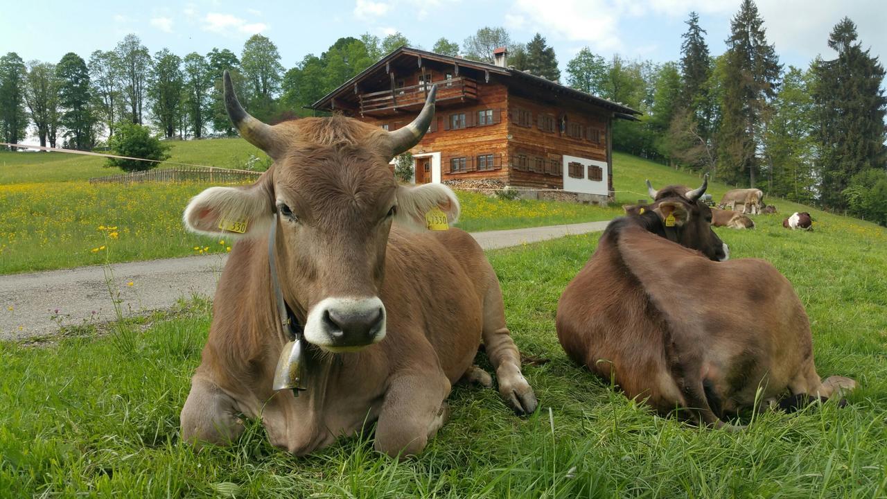 Hotel Cafe Fuggerhof Oberstdorf Zewnętrze zdjęcie